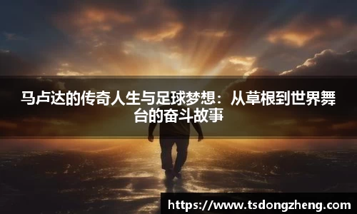 XK星空体育登录