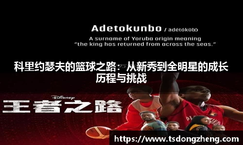 XK星空体育平台